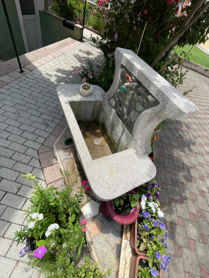 Zajim Apartment Umag Bagian luar foto