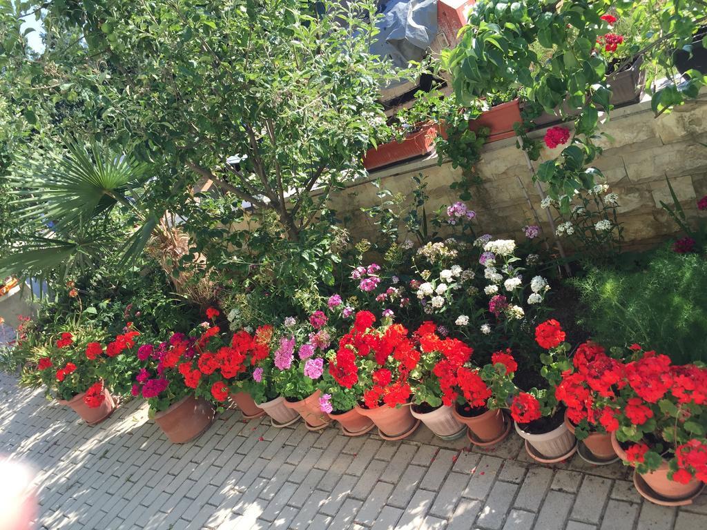 Zajim Apartment Umag Ruang foto