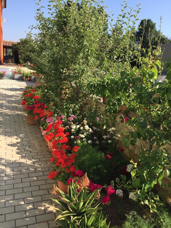 Zajim Apartment Umag Bagian luar foto